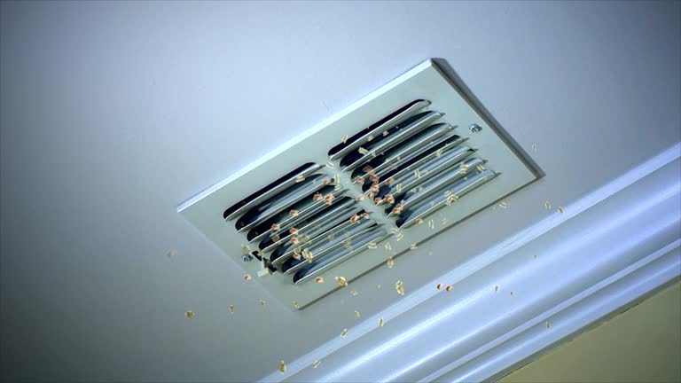 Best Commercial Air Duct Cleaning  in Semmes, AL