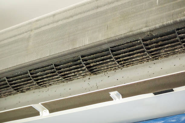 Best Affordable HVAC Duct Cleaning  in Semmes, AL