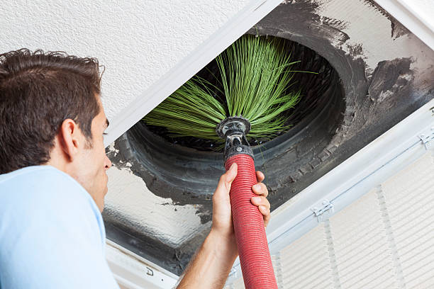 Air Duct Mold Removal in Semmes, AL
